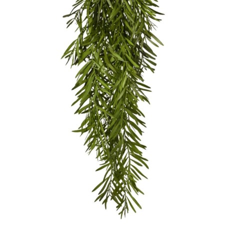 Rosmarino pendente h82cm Green